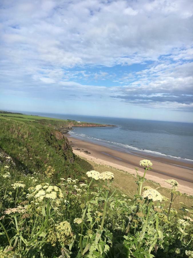 Dunnottar Woods Cottage สโตนเฮเว่น ภายนอก รูปภาพ